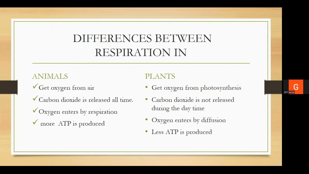 Respiration