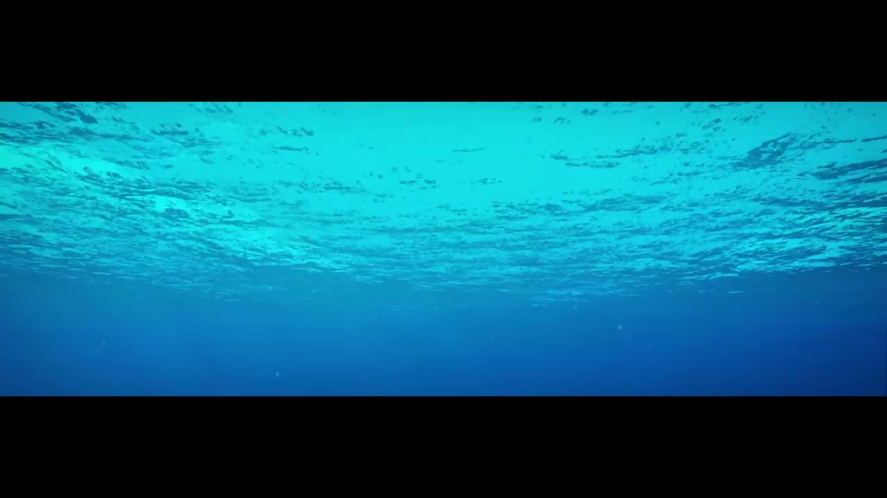 NHM1 0A1A 0301 UNRL V067