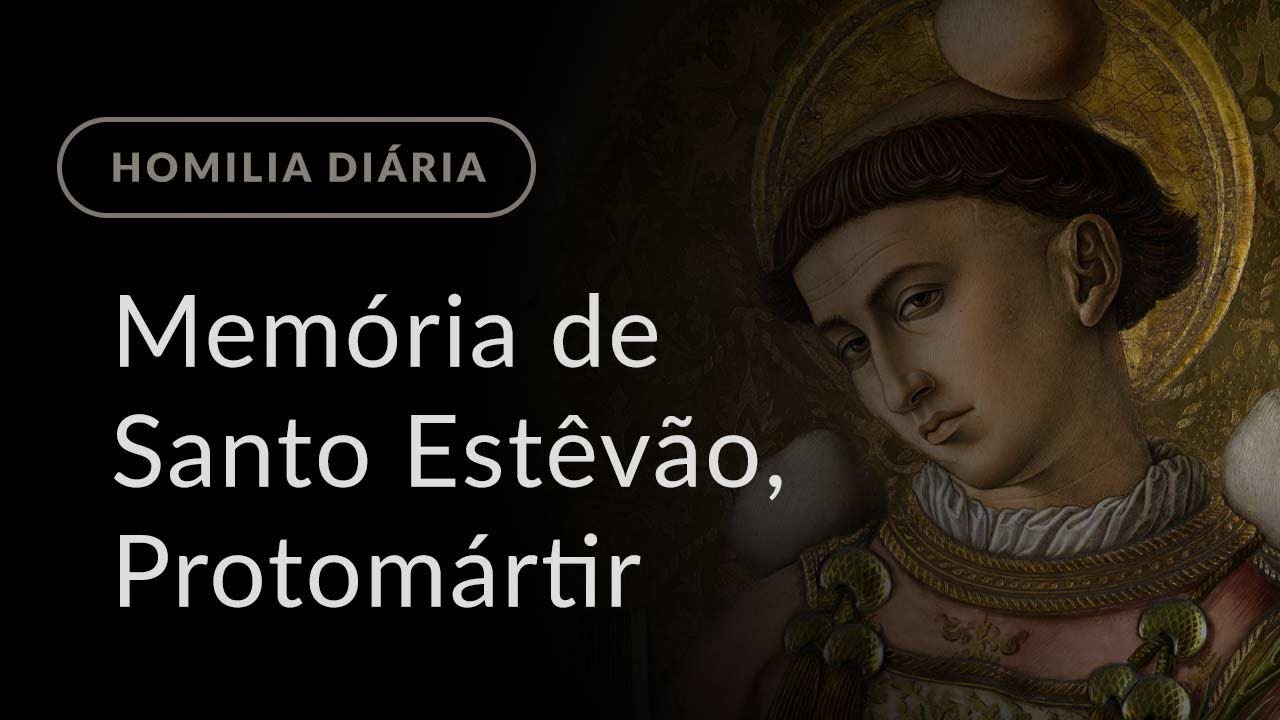 Mem&oacute;ria de Santo Est&ecirc;v&atilde;o, Protom&aacute;rtir (Homilia Di&aacute;ria.1040)