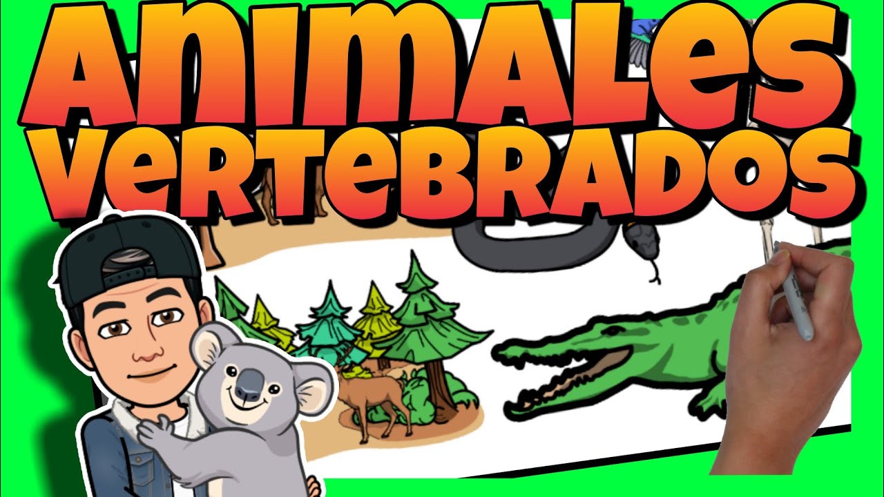 🦁 ANIMALES VERTEBRADOS para NIÑOS de PRIMARIA | Mamíferos, aves, reptiles, peces y anfibios