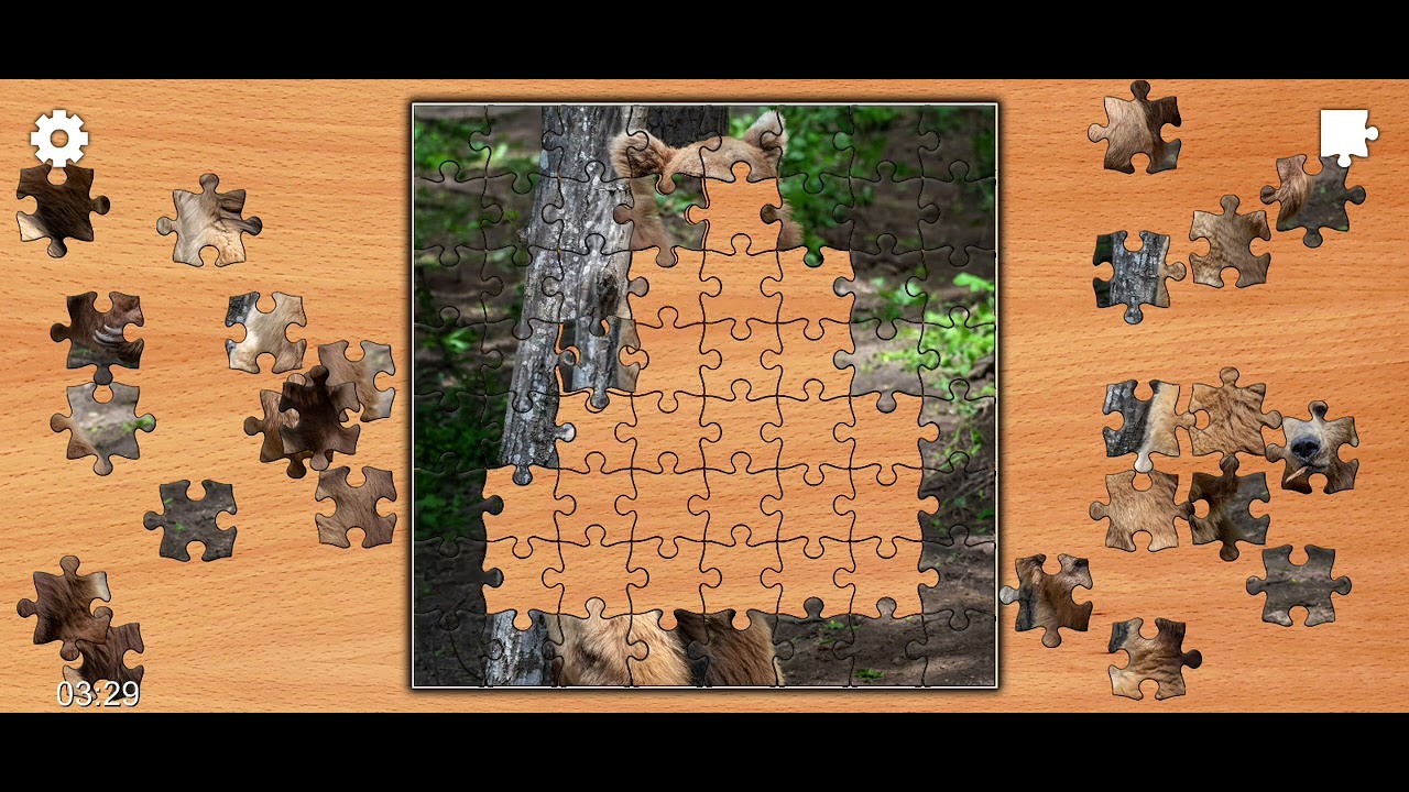 Jigsaw Puzzle Dangerous Brown Bear 🐻🐻 Clue 🧩🗝️ 🎮🎯@Puzzlegameiq123##