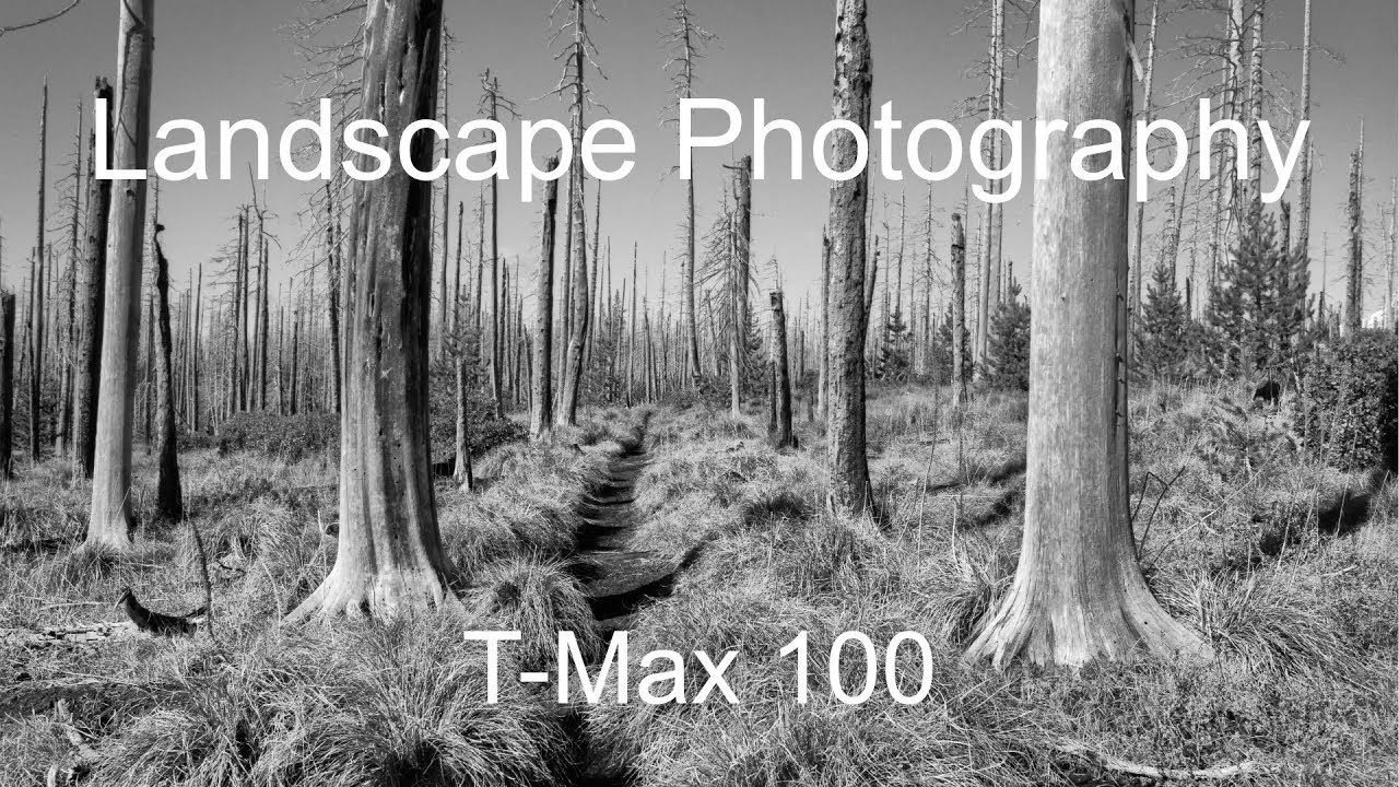 Adventures in Film | TMax 100 Landscape Photography