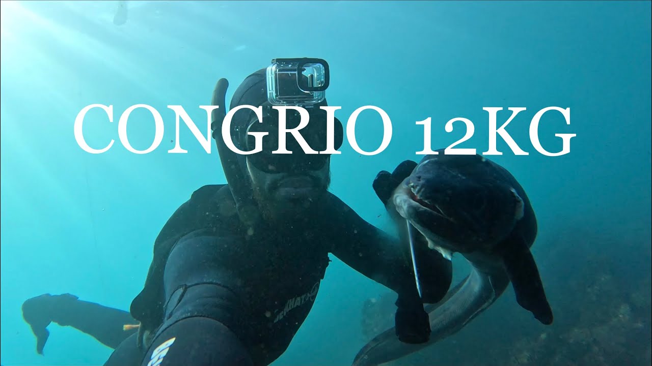 La odisea del congrio - Pesca submarina A Coruña