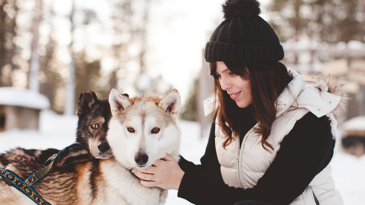 Northern Lights, Reindeer & Huskies in Lapland | WishWishWish
