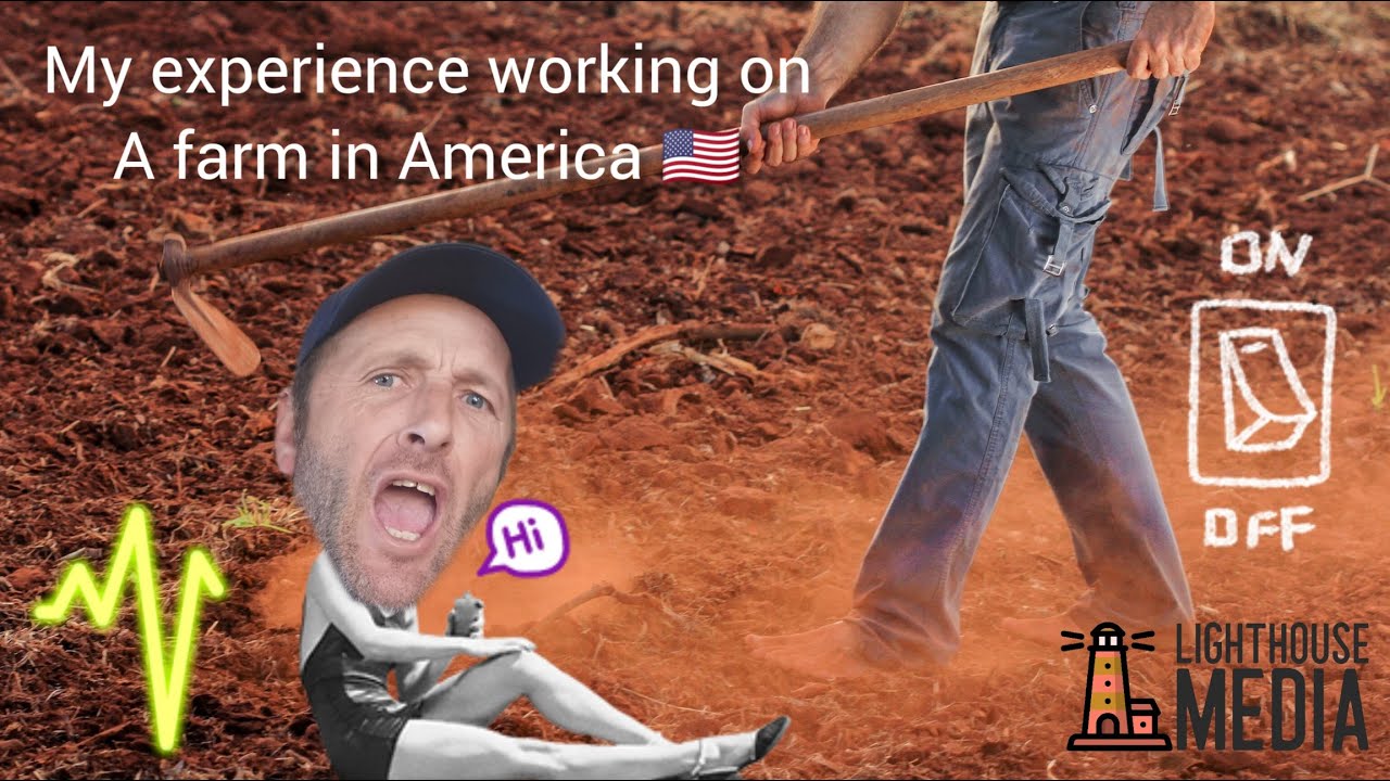 Мой опыт работы на ферме в Америке, несколько советов 😉🇺🇸🇺🇸🇺🇸Фермерство в США