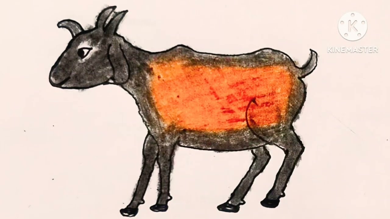 How to drow easy Goat drawing ll Easy coloring step by step Goat drawing 