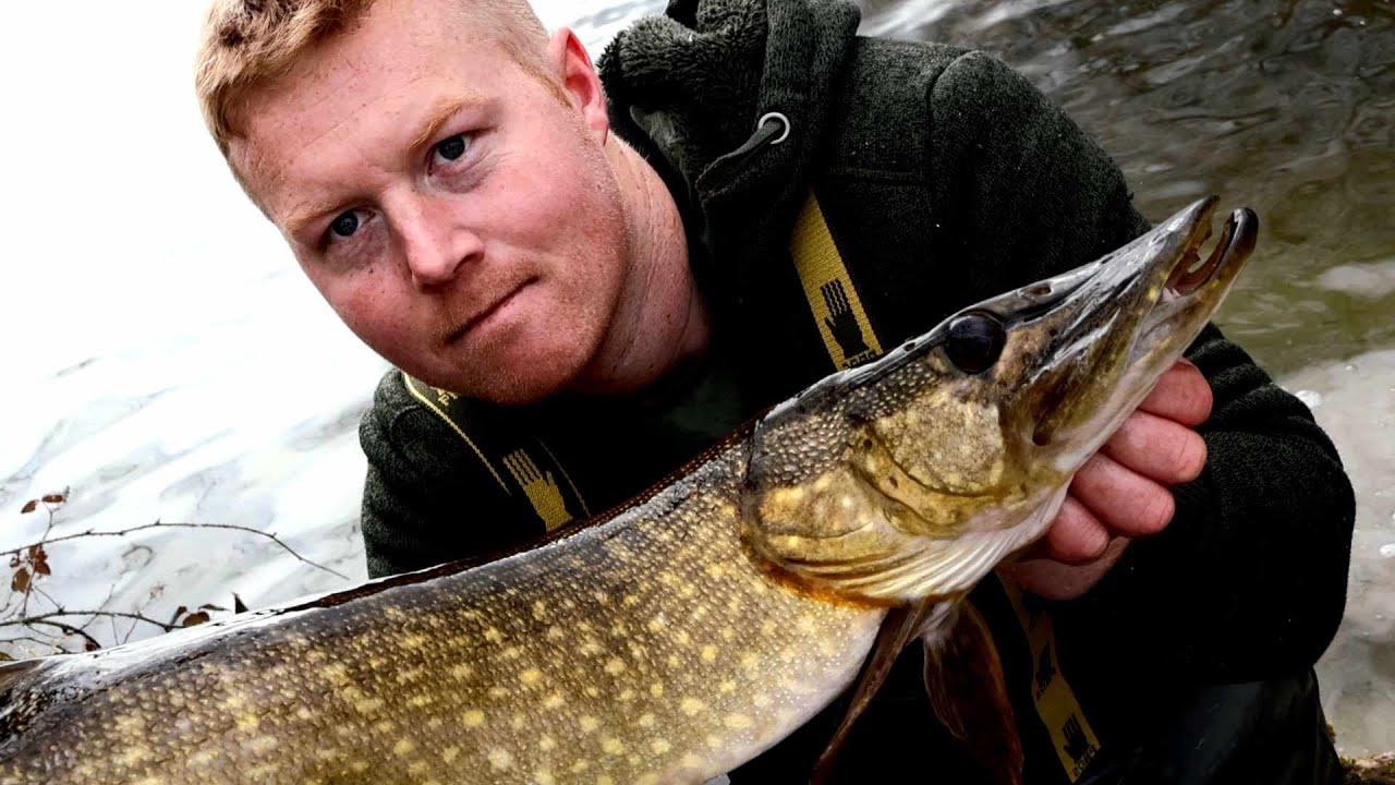 AMAZING UNDERWATER FOOTAGE! Dead baiting and Lure fishing for Pike