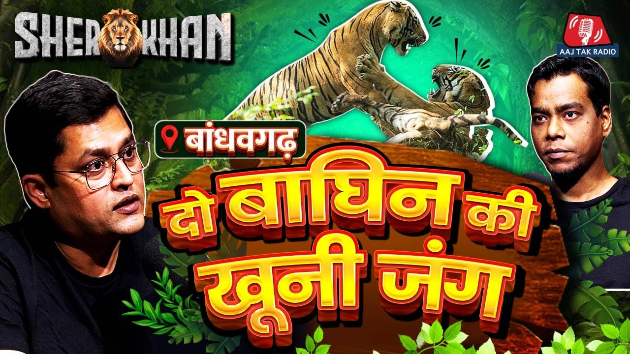 The Revenge Of A Tiger: Territory के लिए दो बाघिनों की खूनी जंग | Langdi-Kankati | SherKhan | Ep 3