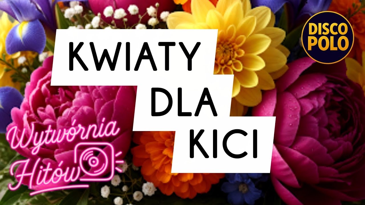 Kwiaty Dla Kici 🌹 | Disco Polo | Wytwórnia Hitów 