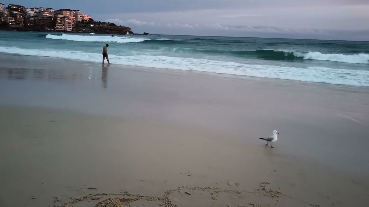 Fabulous Bondi beach, Australia