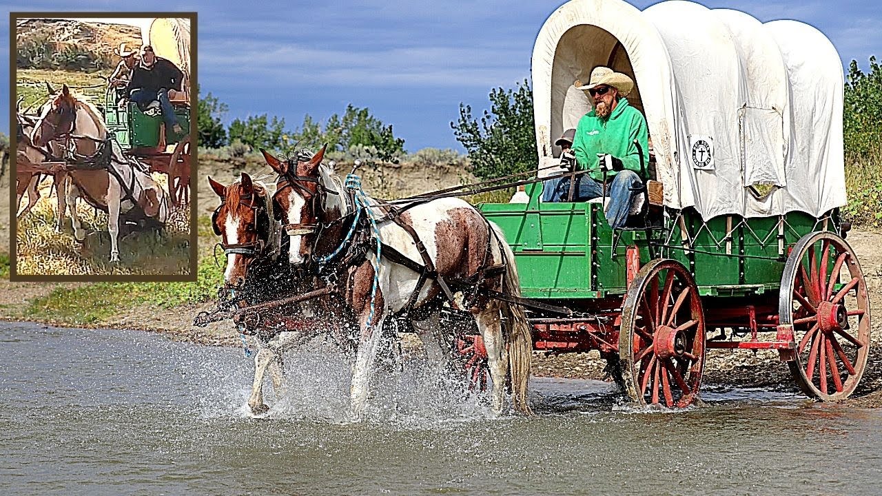 🐎 Rookie Horses TAKE OFF with Covered Wagon! 😱 | Old West Horse & Covered Wagon on MT Wagon Train