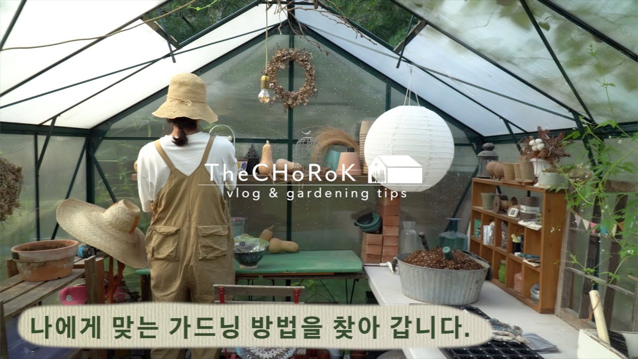 긴 장마를 보낸 정원 | 가을 파종 시작