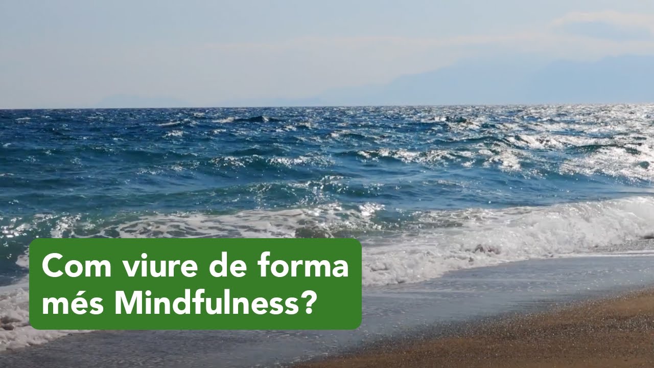 Com viure de forma més Mindfulness?