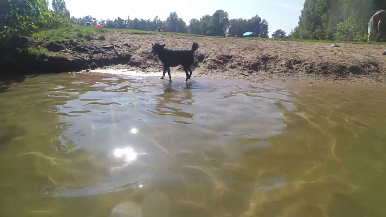 Freddy planscht im Kronensee
