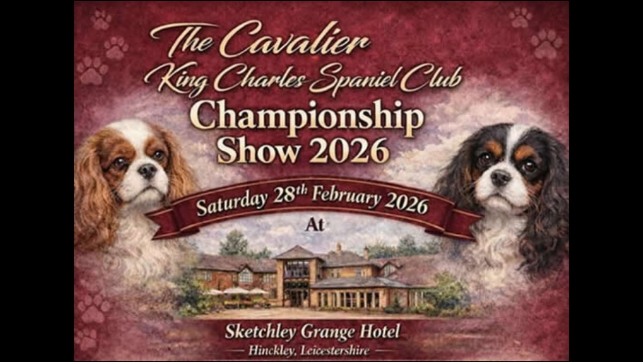 THE CAVALIER KING CHARLES SPANIEL CLUB CHAMPIONSHIP SHOW 2026