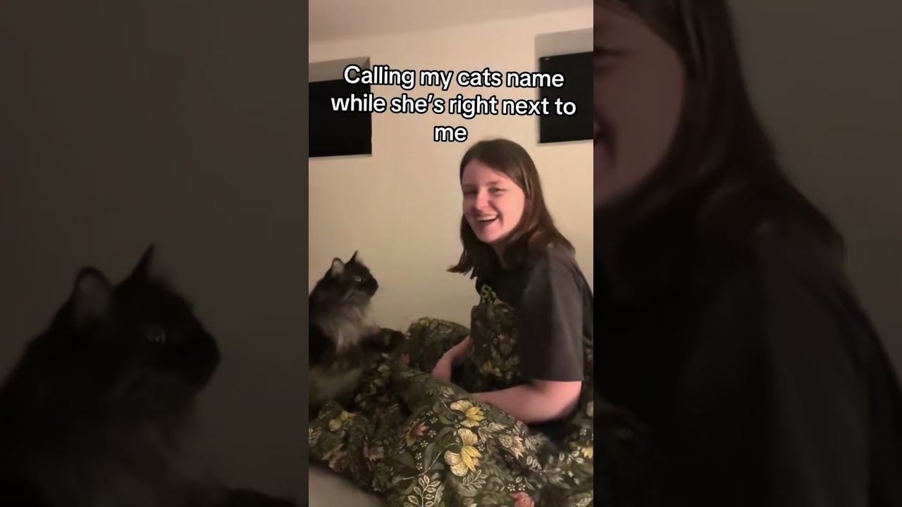 Calling my cats name when she right next to me #pets #cats #cat #funnyvideos #funny #catlover