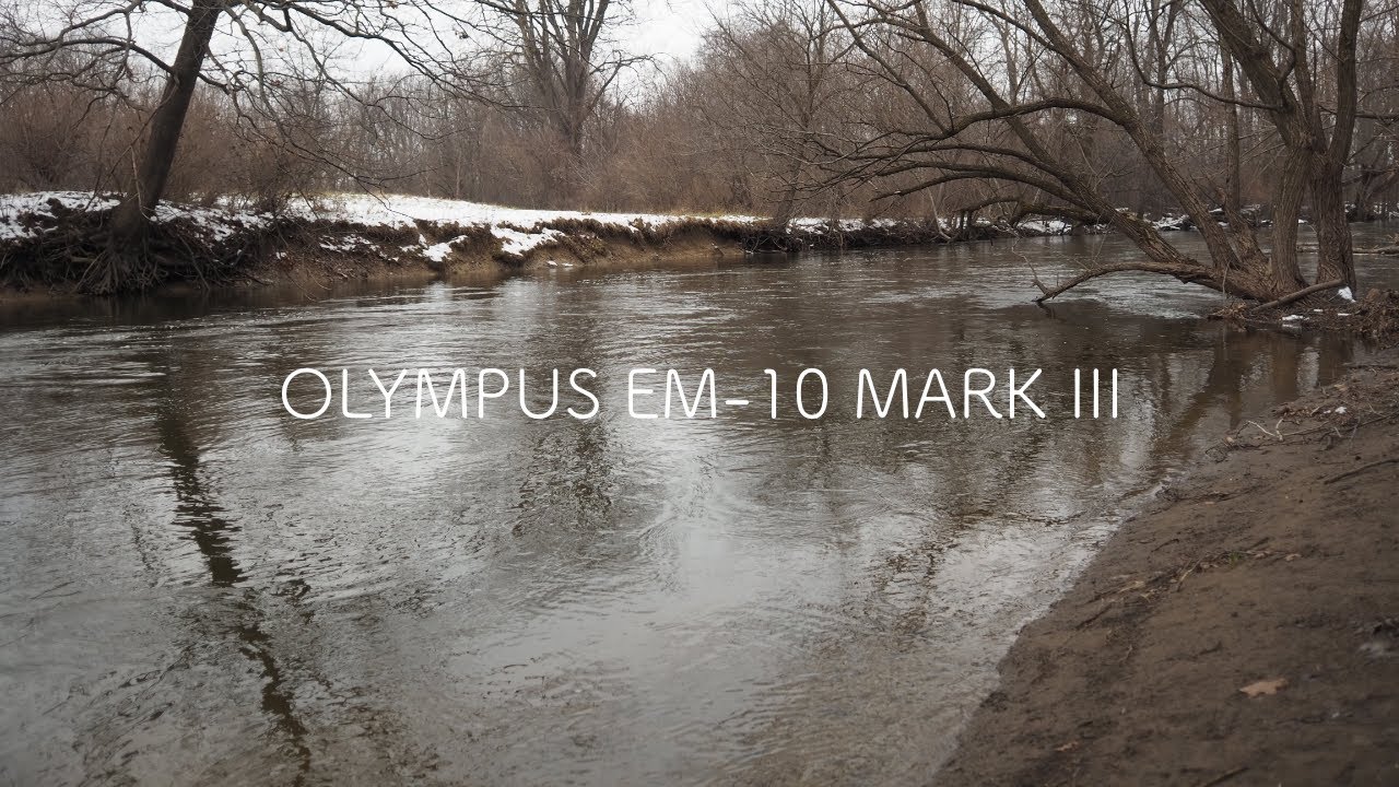 Olympus E-M10 Mark iii in 2022 (For Hybrid Shooters)