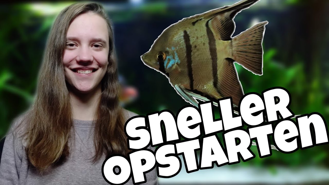Aquarium SNELLER en BETER opstarten, levende bacteriën?! //Nickey//