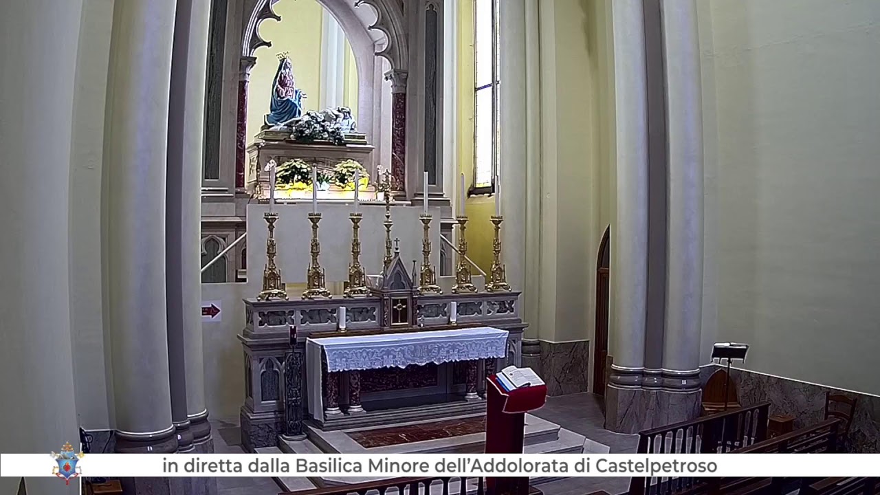 Santa Messa in diretta dalla Basilica dell’Addolorata – Mercoledì 21 gennaio 2026 ore 11.30