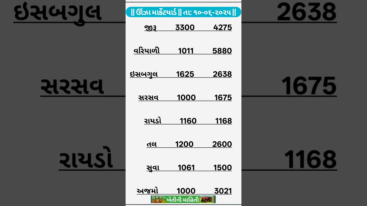 Apmc Unjha Market Yard | Unjha Market Yard rate today | Unjha Mandi Bhav | Unjha jeera bhav today