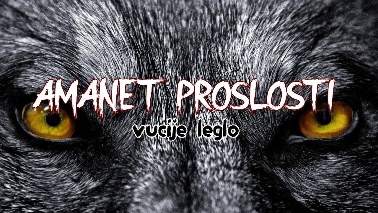 AMANET PREDAKA |Vucije leglo| ENIGMA HOROR