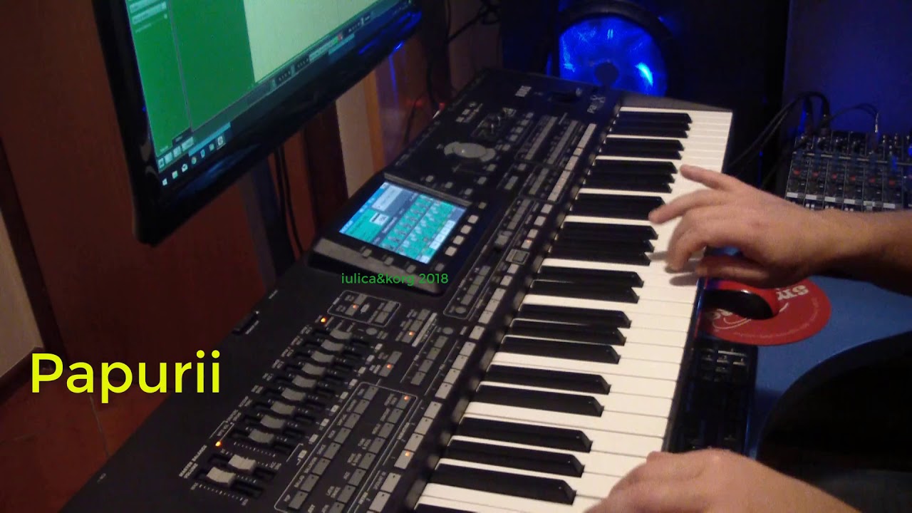 korg pa3x & hora batuta (papurii)