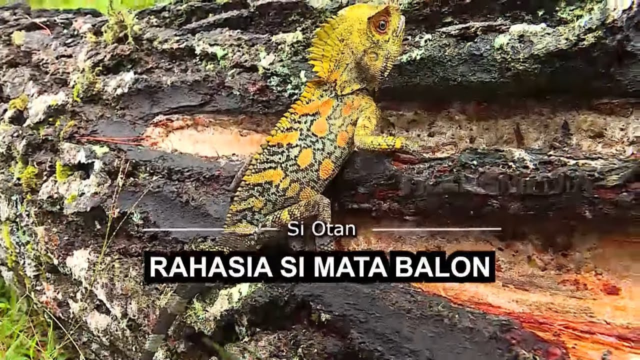[FULL] Rahasia Si Mata Balon  | SI OTAN (14/04/22)