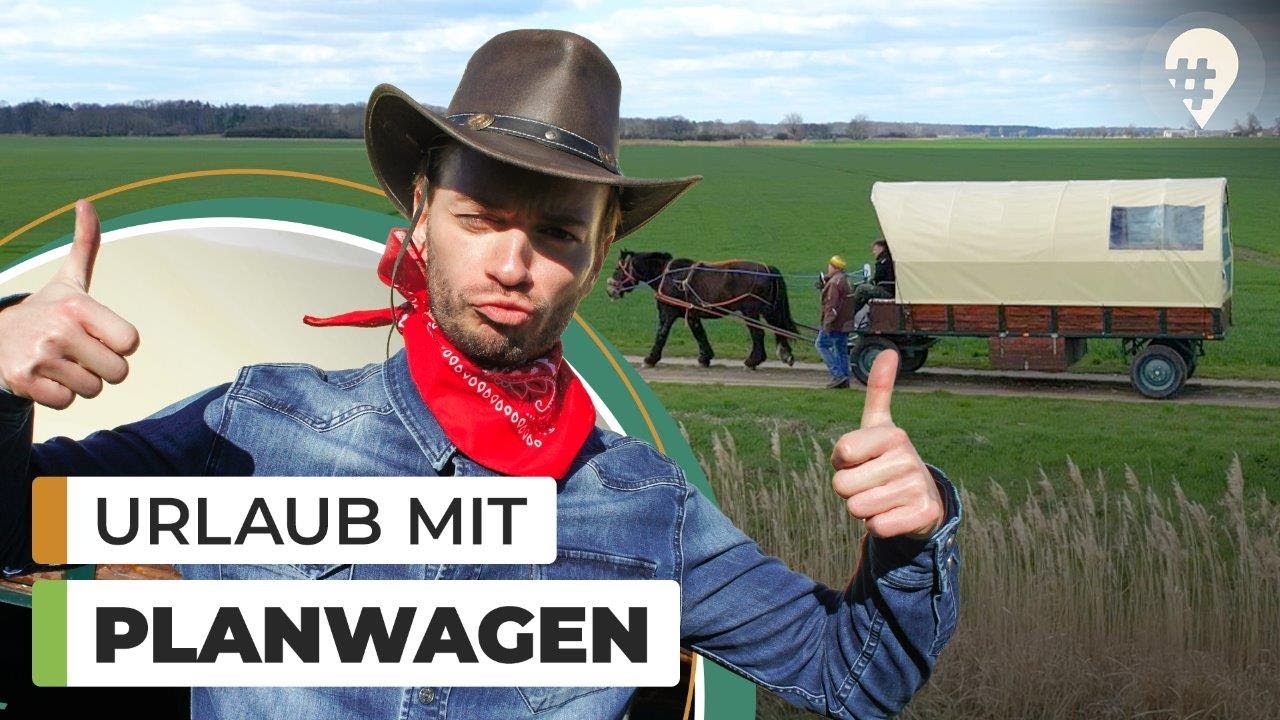 Camping mit Pferd & Kutsche: Das erste Mal Planwagen | Doku Reisen #hinREISEND