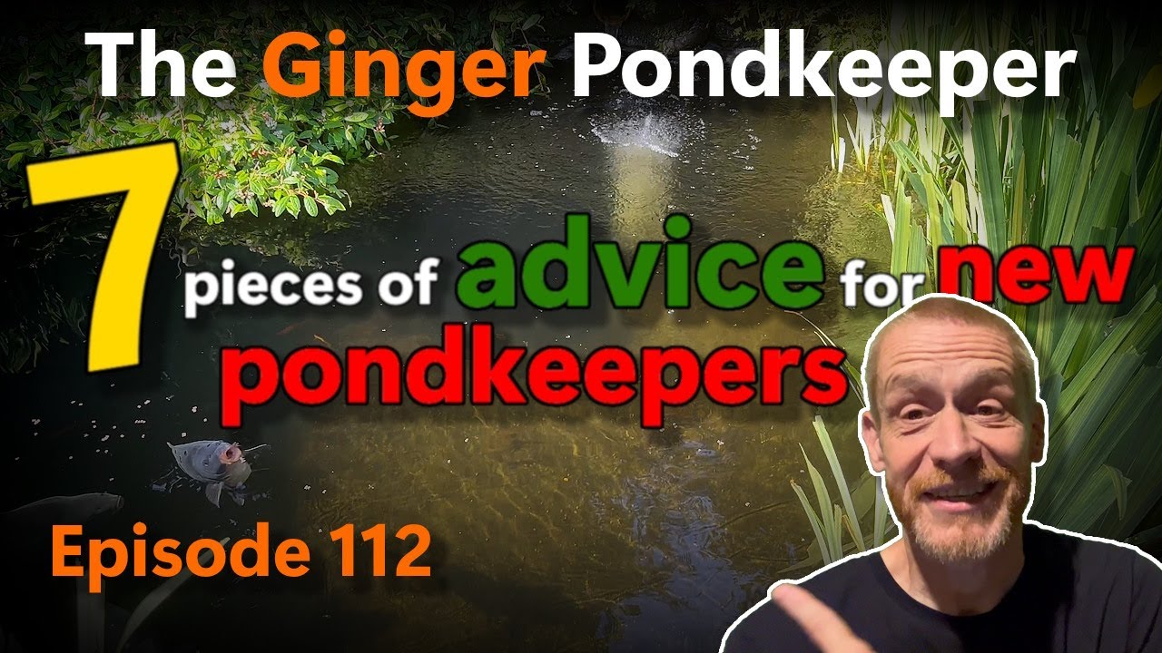 Episode 112: 7 pieces of advice for new pondkeepers
