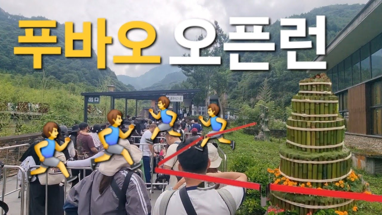 7월 19일 오전 푸바오가 있는 선수핑 오픈런 실시간 현황, R U Ready??