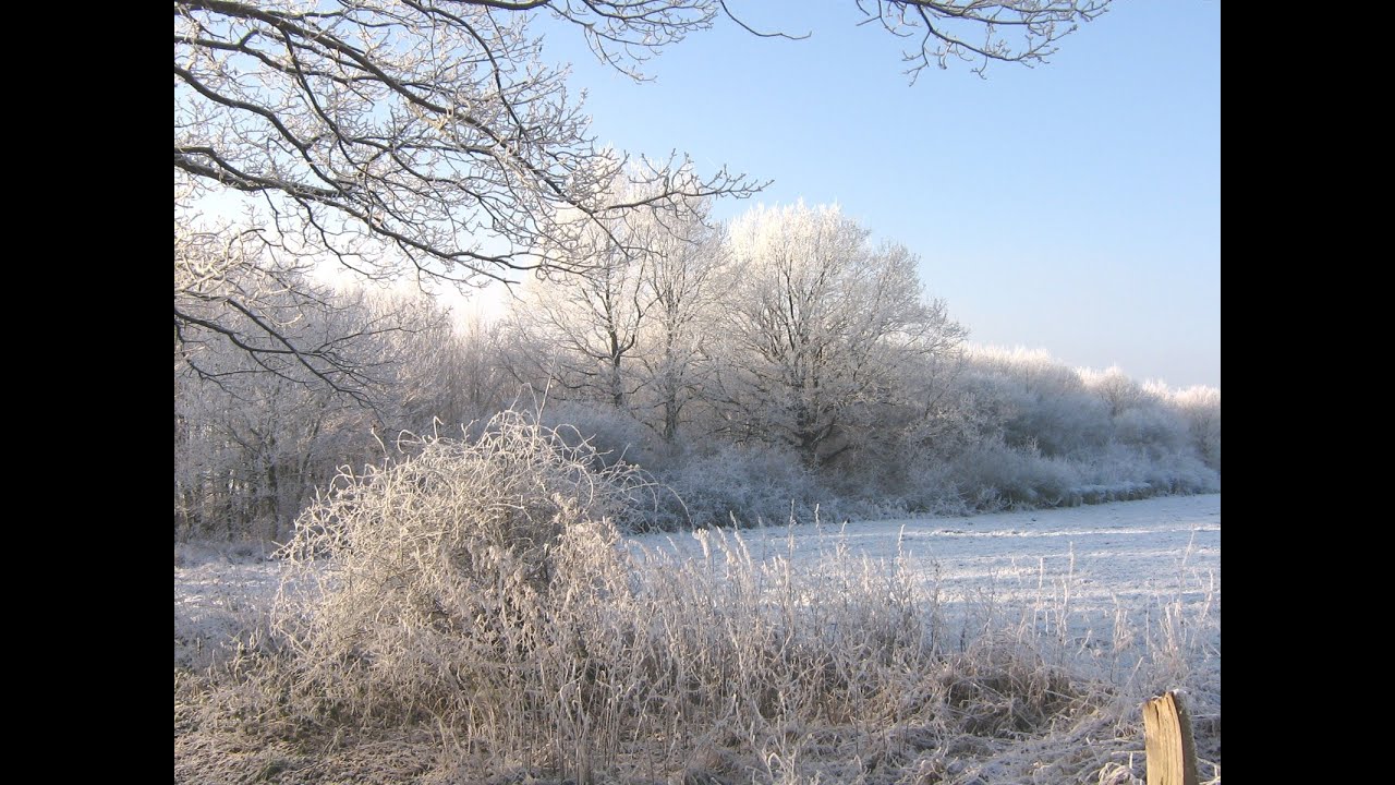 I'm dreaming of a white Christmas