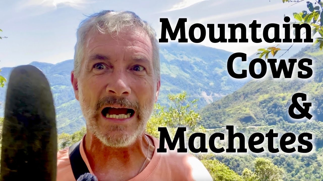 Mountain Cows and Machetes