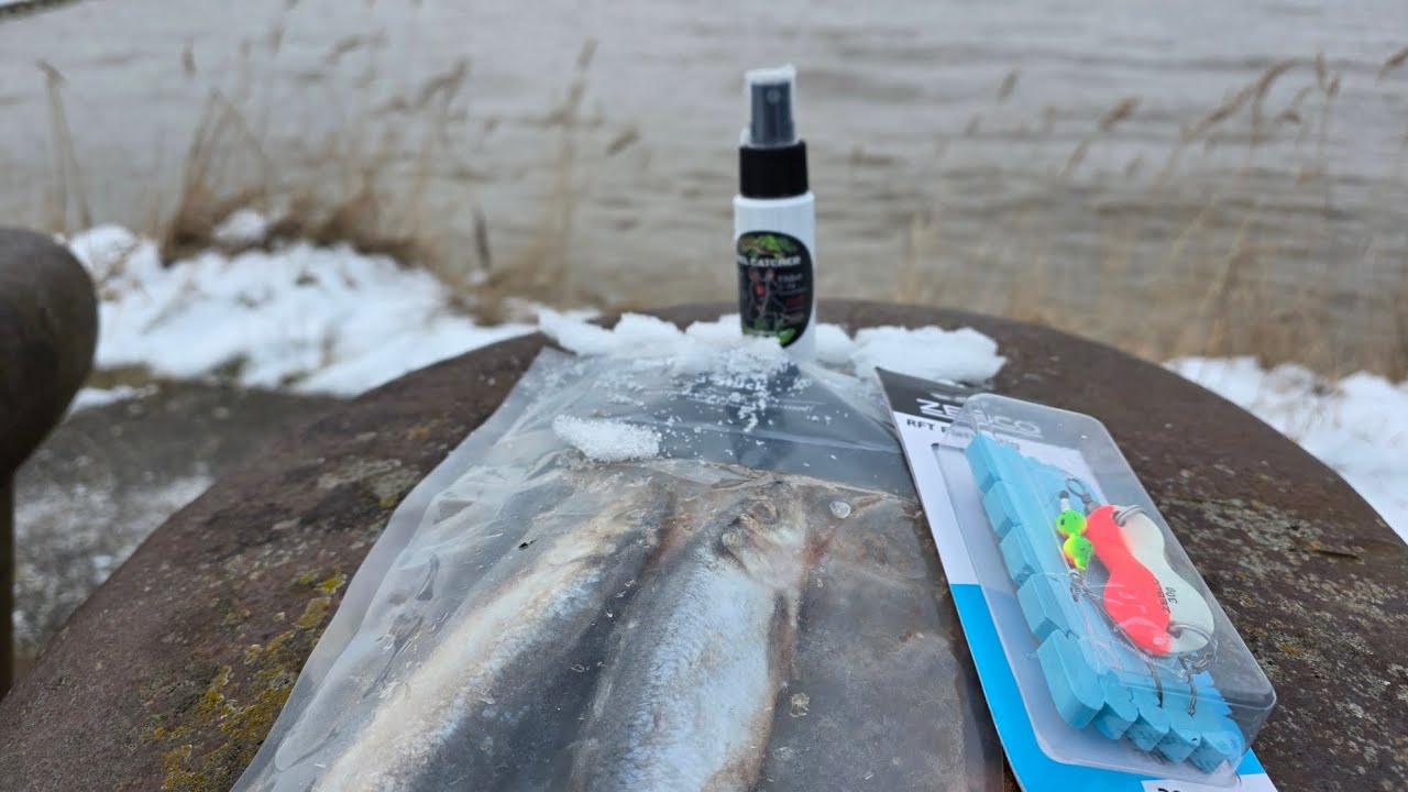 Immer noch auf der Suche 🤣🥶🎣