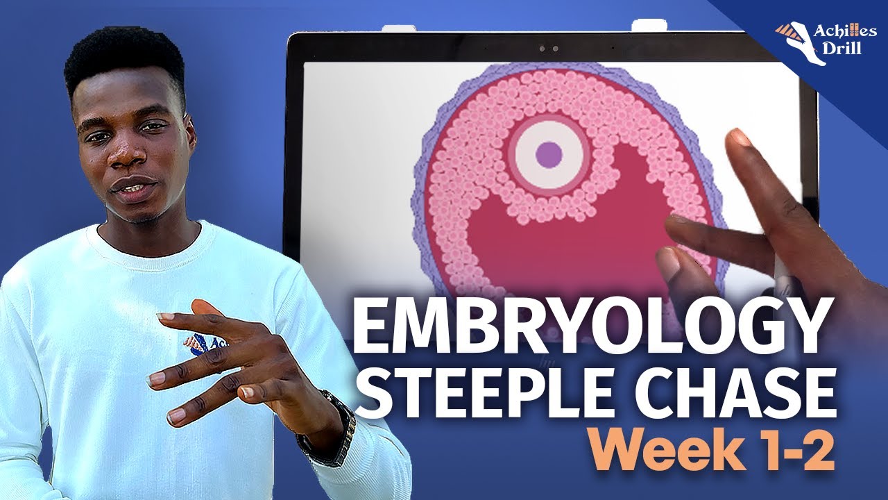 1ST AND 2ND WEEK OF DEVELOPMENT (EMBRYOLOGY STEEPLECHASE QUESTIONS)