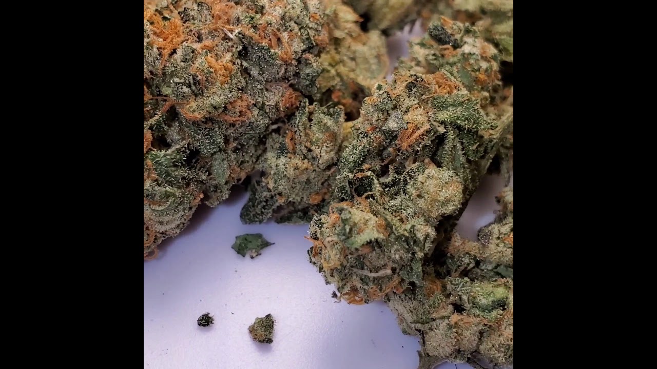some freshly cured magic melon, gg4 and wedding cake. grown by me.