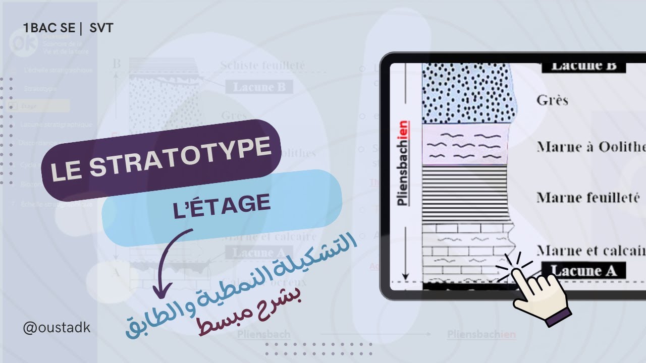 1BAC SE | Le stratotytpe  - l'étage  اش كنقصدو بهادو  svt