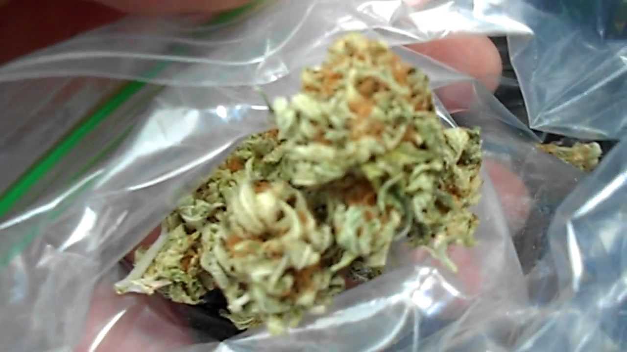 BUBBA KUSH ~ A HEAVY INDICA STRAIN OF MARIJUANA