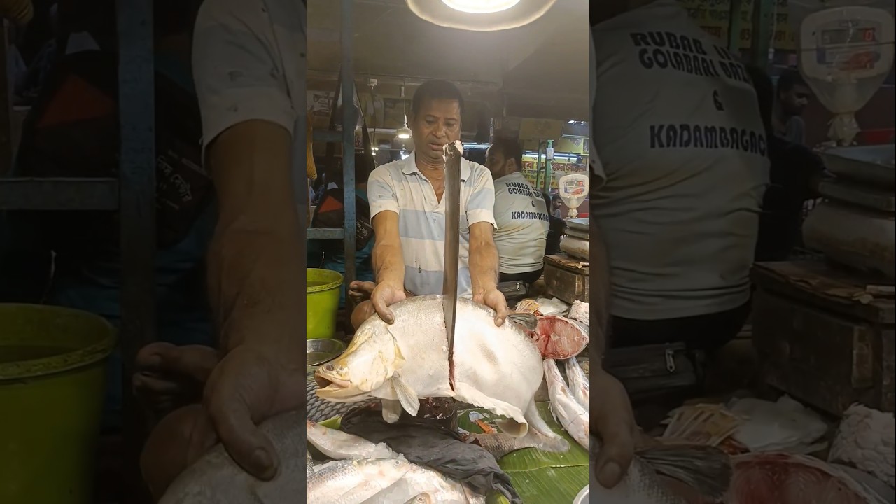 🔥😱 WOW!! Big Size Chital Fish Cutting For Chital Fish Muitha 😱 