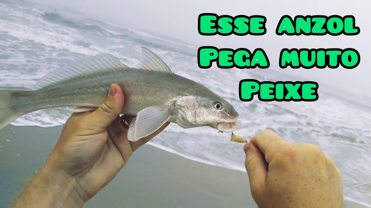 COMO PESCAR NA PRAIA! MATERIAL/  Molinete/vara/linha/Chicote e anzois PESCA DE Papa Terra
