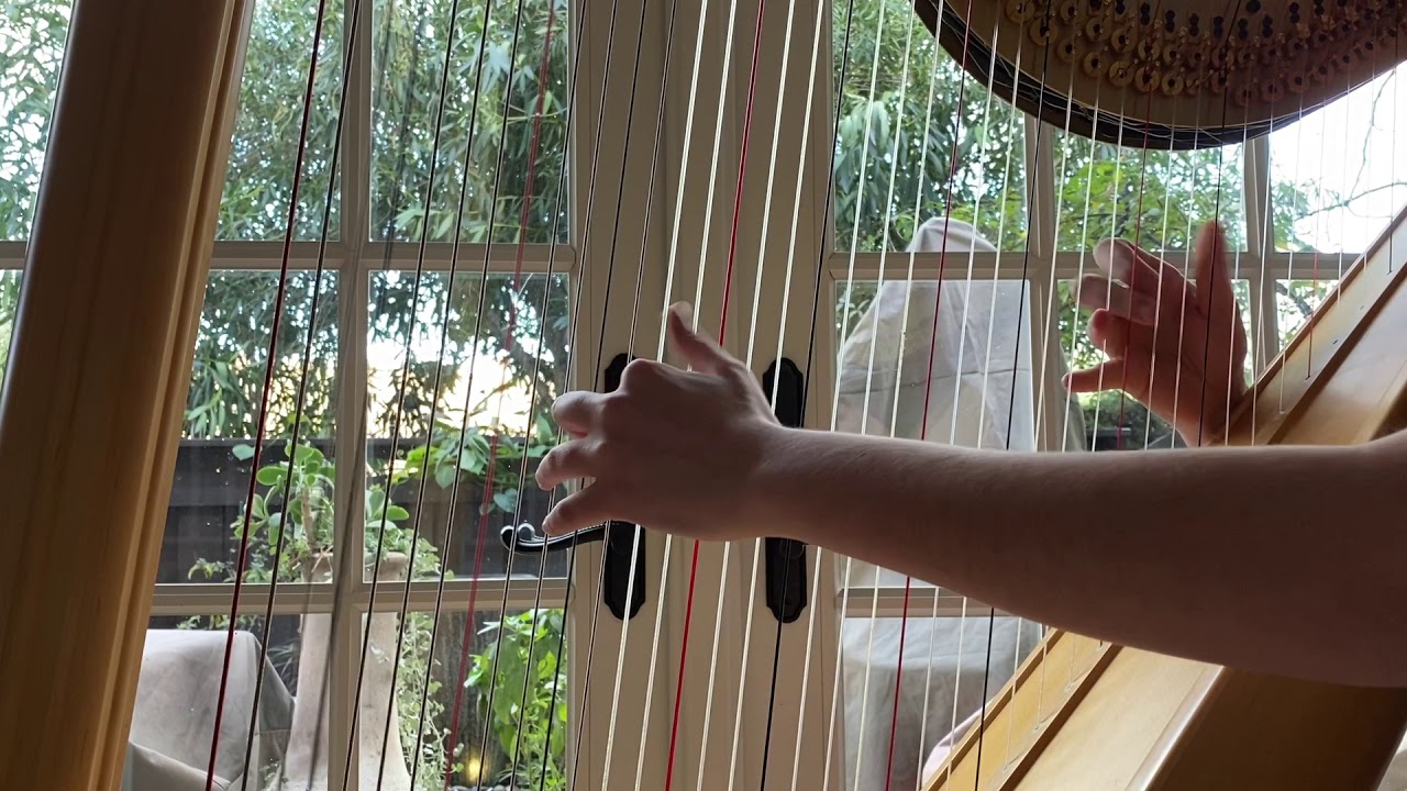 I Love You - RIOPY Harp Cover