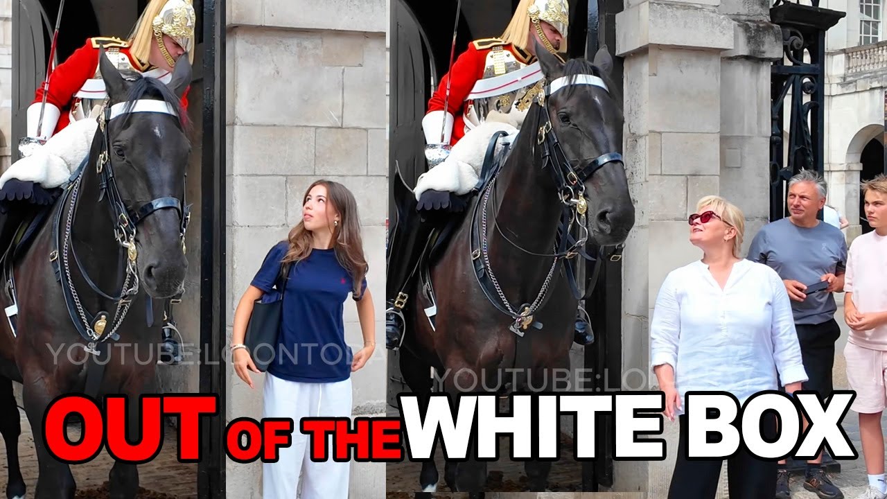 😮‼️Epic Guard Confrontation Shuts Down Tourist Chaos..! 🚫🔥