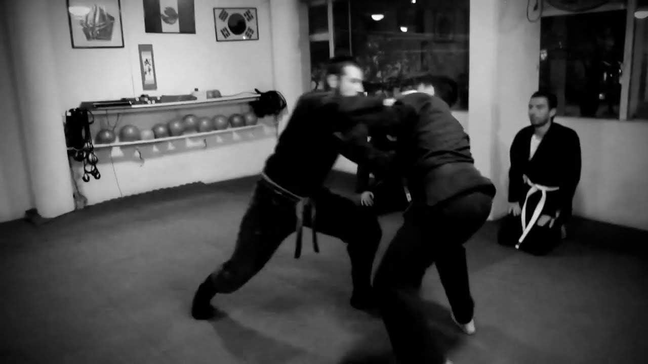 Koto Ryu Koppo Jutsu