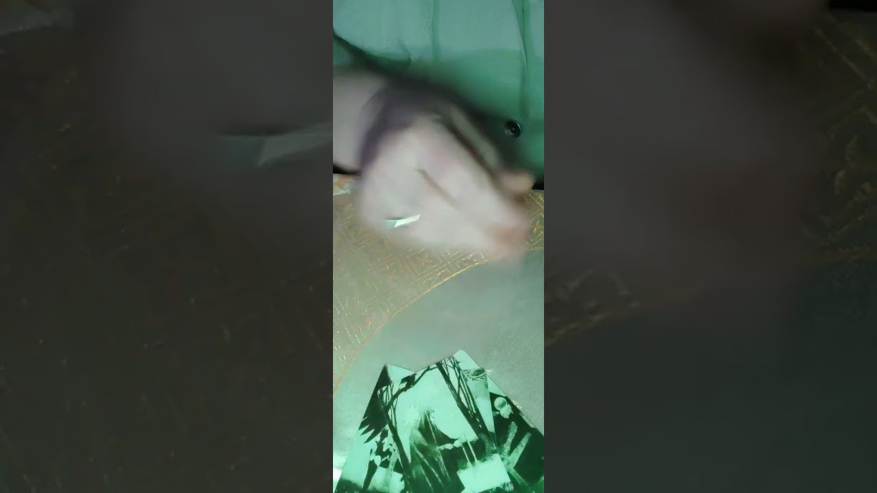 О чём кричат вороны?)
