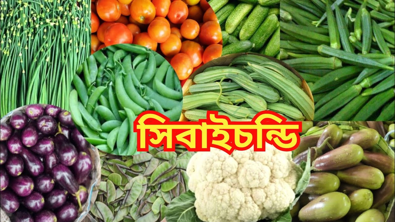 সিবাইচন্ডি পাইকারি সবজির দাম | Sibaichandi Paikari Sobji Market | Wholesale Vegetable Market |
