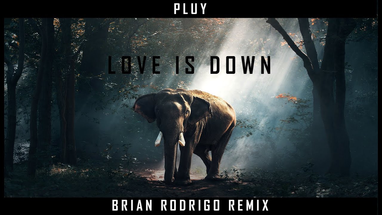 Pluy - The love is down ft. Mose (Brian Rodrigo remix)
