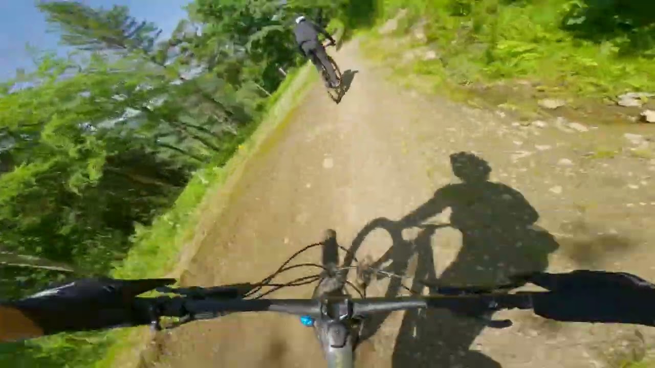 Mountain Bike Vista Glades - Bolton Valley POV