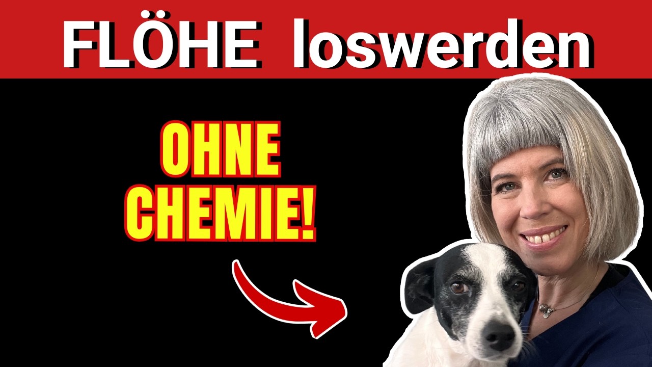 🐕🐈 So wirst Du FLÖHE schnell wieder los - ohne CHEMIE // Ganzheitliche Tiergesundheit