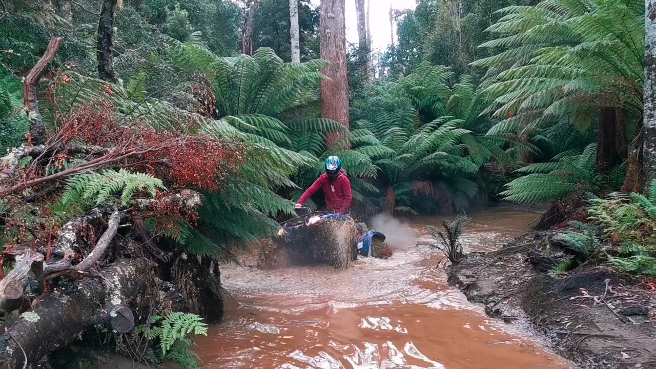 Mathinna Falls East Coast Tasmania, Jeep Track in a polaris Xp1000 rzr