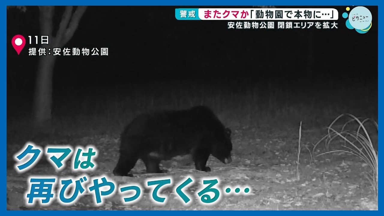 動物園にクマが出没 ドングリを食べた痕跡が｜一部エリアを休園に