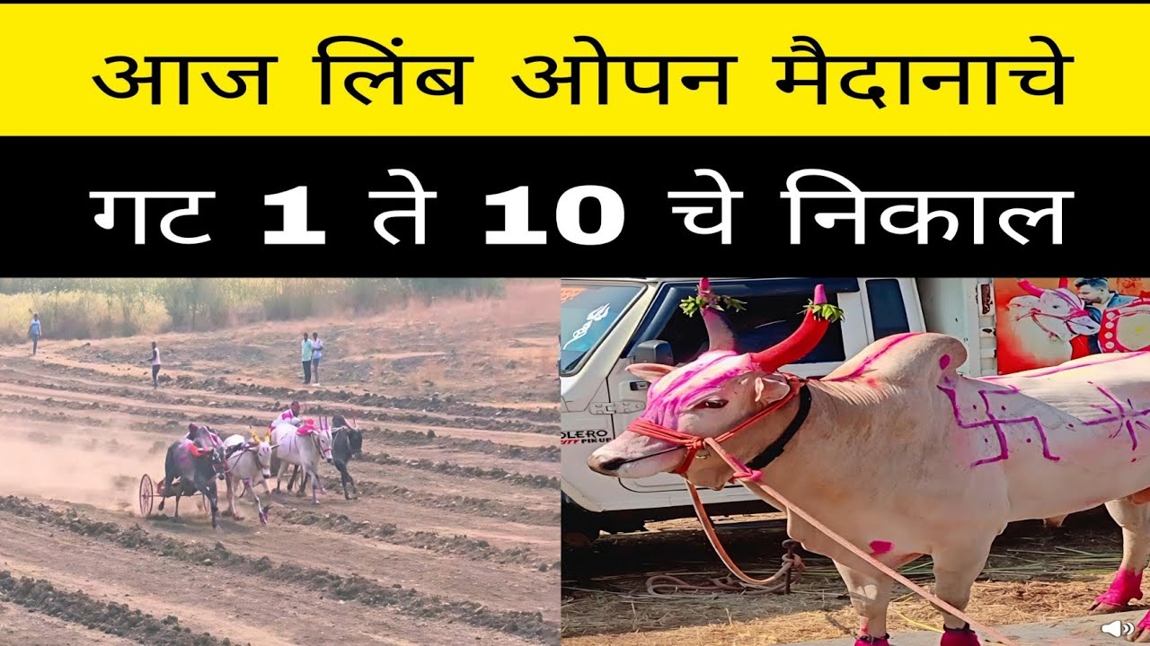 आज लिंब येथे चालू असलेल्या ओपन मैदानात गट 1 ते 10 मधून कोणकोणते बैल सेमी फायनल साठी पात्र झाले?
